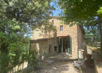 Foto 6 - Rustico Castelnuovo di Val di Cecina - foto 6