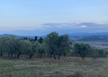 Foto 7 - Rustico Castelnuovo di Val di Cecina - foto 7