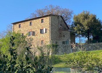 Foto 8 - Rustico Castelnuovo di Val di Cecina - foto 8