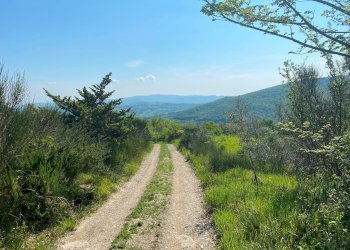 Foto 9 - Rustico Castelnuovo di Val di Cecina - foto 9