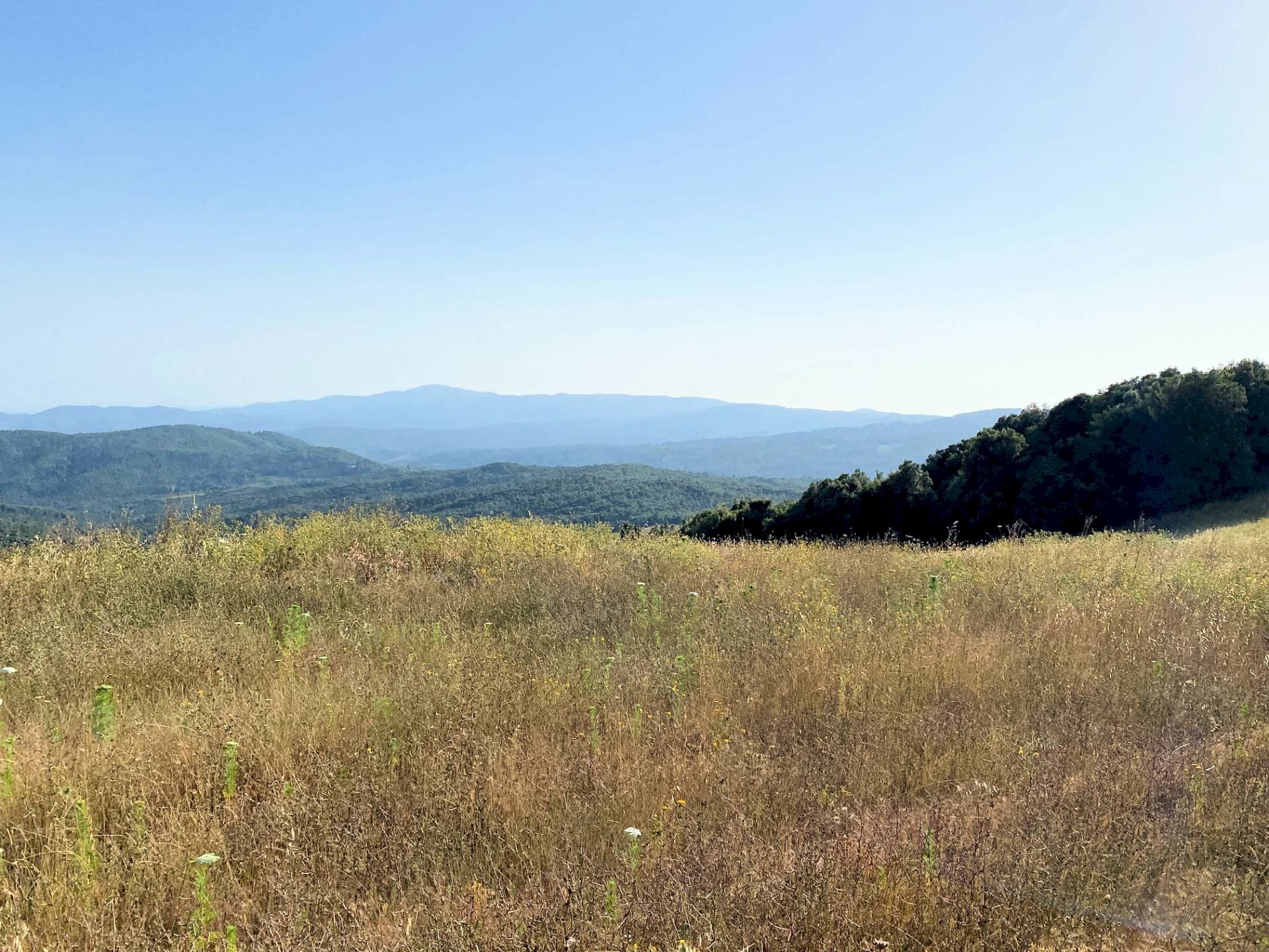 Foto 2 - Rustic Monteverdi Marittimo - photo 2