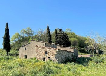 Foto 5 - Rustico Monteverdi Marittimo - foto 5