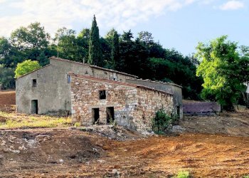 Foto 8 - Rustico Monteverdi Marittimo - foto 8