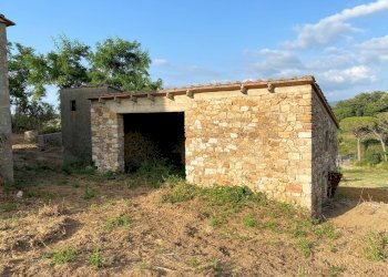 Foto 11 - Rustico Monteverdi Marittimo - foto 11