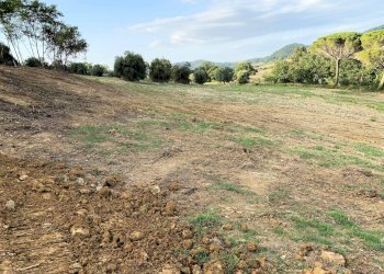 Foto 14 - Rustico Monteverdi Marittimo - foto 14