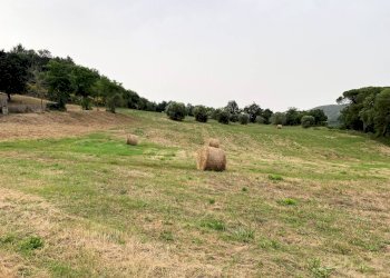 Foto 15 - Rustico Monteverdi Marittimo - foto 15