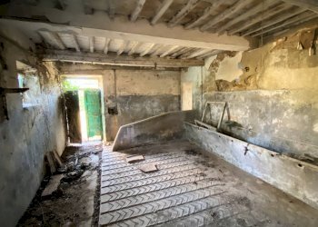 Foto 18 - Rustico Monteverdi Marittimo - foto 18