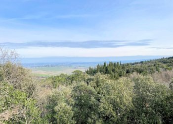 Foto 2 - Rustico Via Guelfi, Lajatico - foto 2