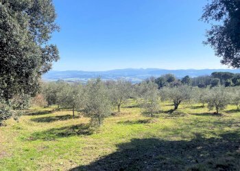 Foto 4 - Rustico Via Guelfi, Lajatico - foto 4