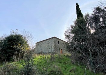 Foto 5 - Rustico Via Guelfi, Lajatico - foto 5