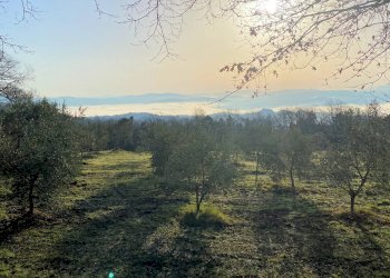 Foto 6 - Rustico Via Guelfi, Lajatico - foto 6