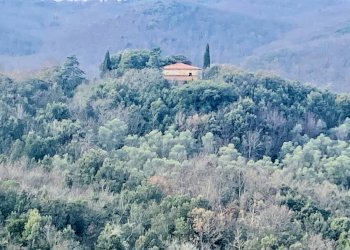 Foto 8 - Rustico Via Guelfi, Lajatico - foto 8