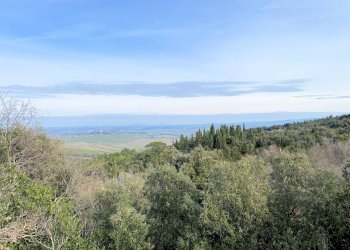 Foto 9 - Rustico Via Guelfi, Lajatico - foto 9