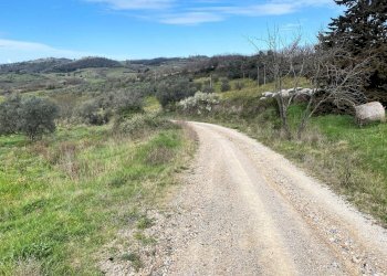 Foto 10 - Rustico Via Guelfi, Lajatico - foto 10