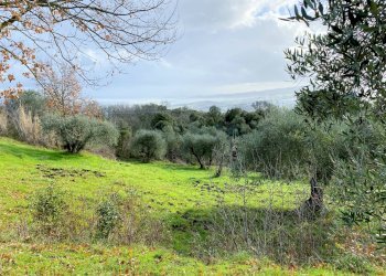 Foto 11 - Rustico Via Guelfi, Lajatico - foto 11