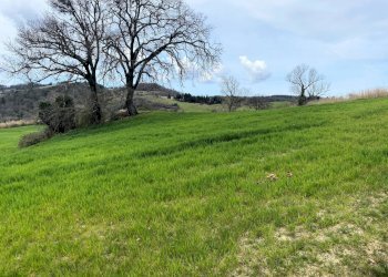 Foto 12 - Rustico Via Guelfi, Lajatico - foto 12