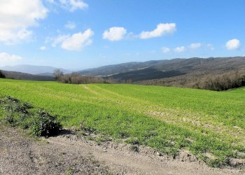 Foto 13 - Rustico Via Guelfi, Lajatico - foto 13