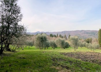 Foto 14 - Rustico Via Guelfi, Lajatico - foto 14