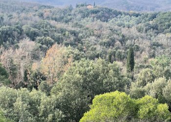 Foto 21 - Rustico Via Guelfi, Lajatico - foto 21