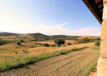 Foto 8 - Rustico Cupi, Magliano in Toscana - foto 8