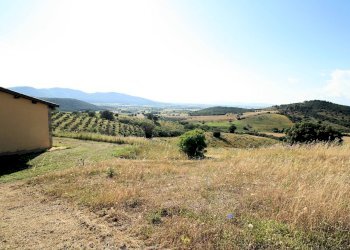 Foto 11 - Rustico Cupi, Magliano in Toscana - foto 11