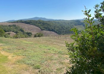 Foto 14 - Rustico Volterra - foto 14