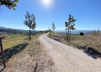 Foto 10 - Rustico Via San Lino, Volterra - foto 10