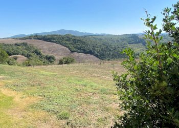 Foto 17 - Rustico Via San Lino, Volterra - foto 17