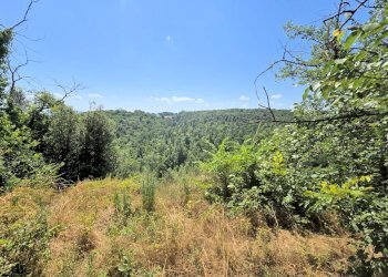 Foto 10 - Rustico Colle di Val d'Elsa - foto 10