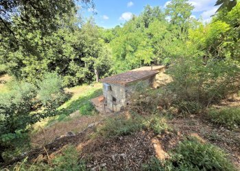 Foto 12 - Rustico Colle di Val d'Elsa - foto 12