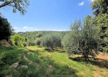 Foto 14 - Rustico Colle di Val d'Elsa - foto 14