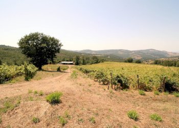 Foto 4 - Rustico Scansano - foto 4