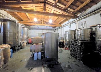 Foto 12 - Rustico Scansano - foto 12