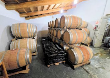 Foto 14 - Rustico Scansano - foto 14