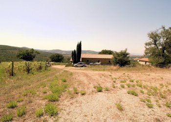 Foto 19 - Rustico Scansano - foto 19