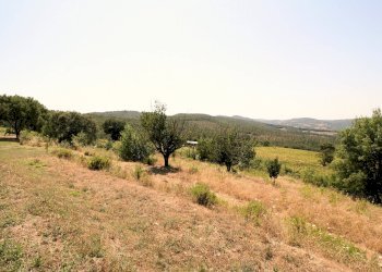 Foto 31 - Rustico Scansano - foto 31