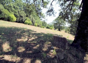 Foto 32 - Rustico Scansano - foto 32