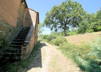 Foto 33 - Rustico Scansano - foto 33