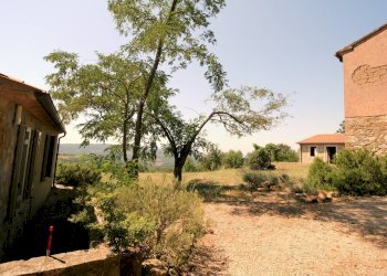 Foto 34 - Rustico Scansano - foto 34