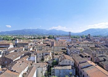 Foto 4 - Shop Lucca - photo 4