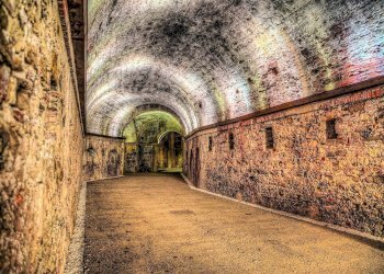 Foto 5 - Shop Lucca - photo 5