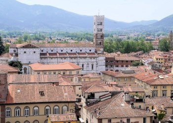 Foto 6 - Shop Lucca - photo 6