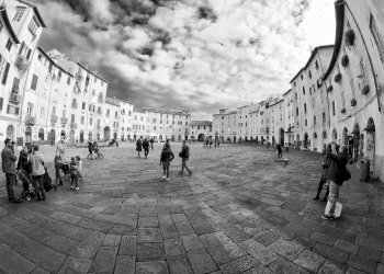 Foto 10 - Shop Lucca - photo 10