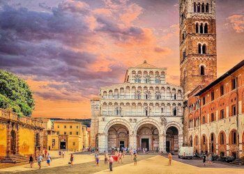 Foto 12 - Shop Lucca - photo 12