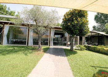 Foto 2 - Attività Commerciale cavallino rosso, Massa - foto 2