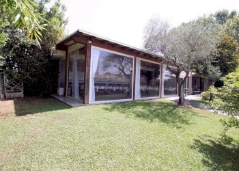 Foto 7 - Attività Commerciale cavallino rosso, Massa - foto 7