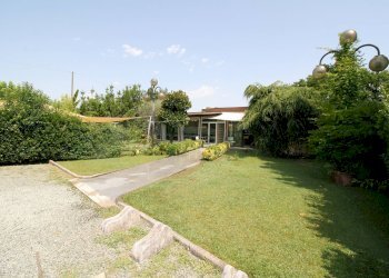 Foto 8 - Attività Commerciale cavallino rosso, Massa - foto 8