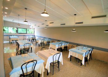 Foto 14 - Attività Commerciale cavallino rosso, Massa - foto 14