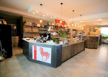 Foto 18 - Attività Commerciale cavallino rosso, Massa - foto 18