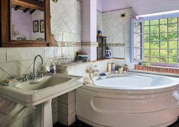 Foto 35 - Rustico Altopascio - foto 35